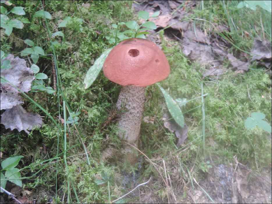 DSCN3831
