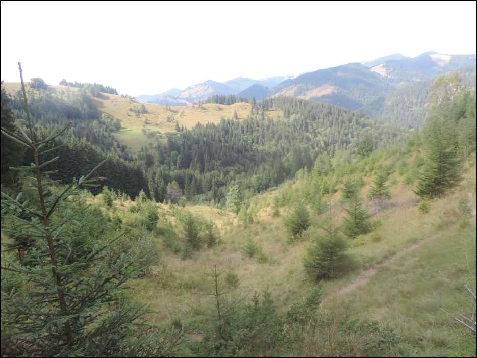 DSCN3834