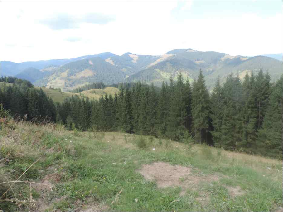 DSCN3837