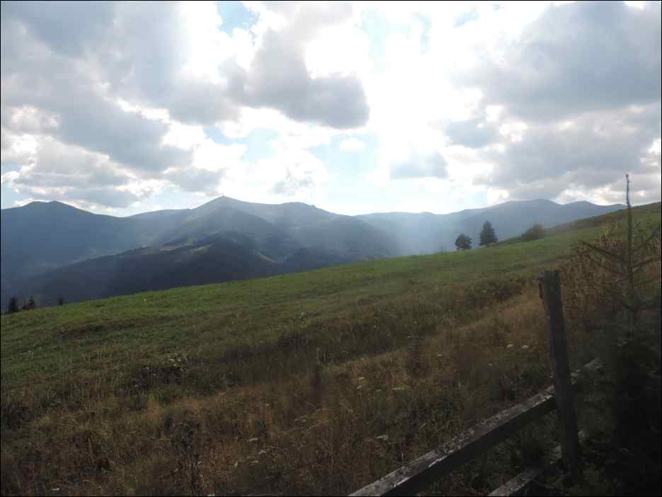 DSCN3841