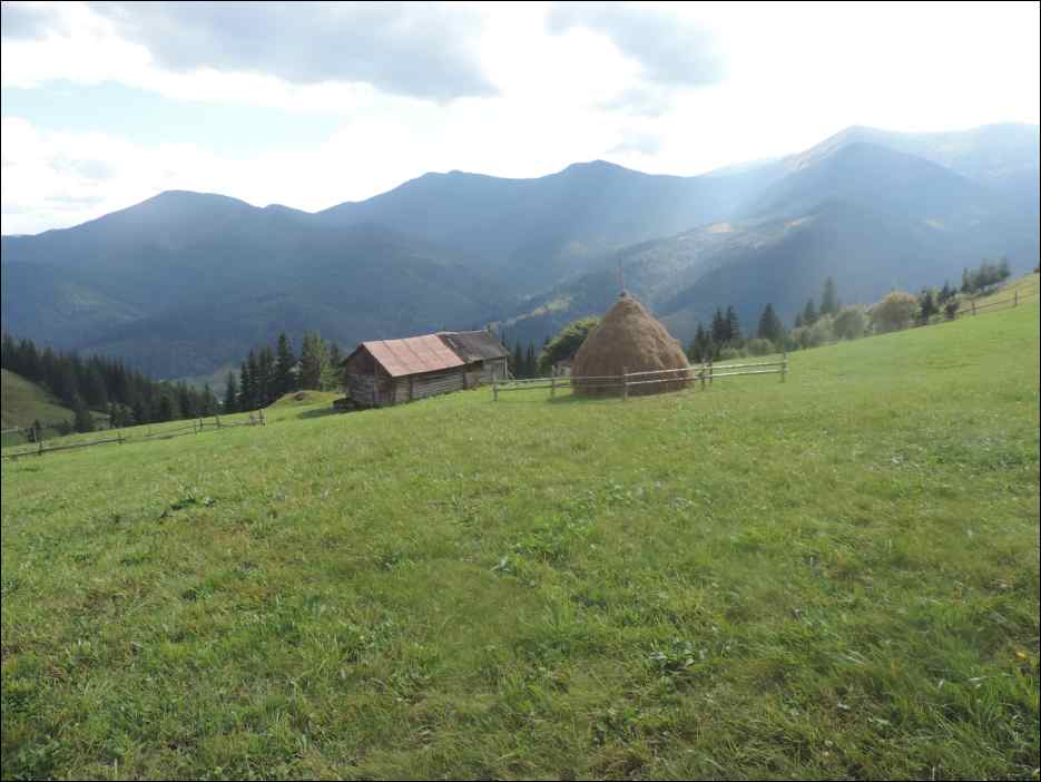 DSCN3844
