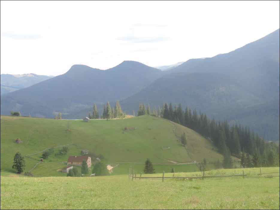 DSCN3846