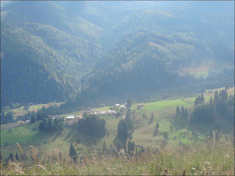 DSCN3849