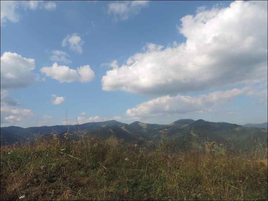 DSCN3854