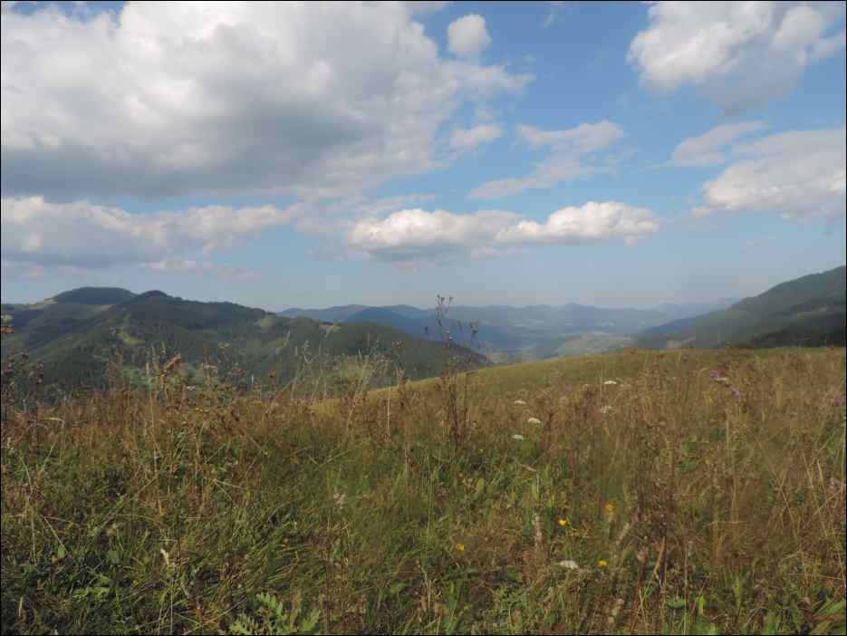 DSCN3855