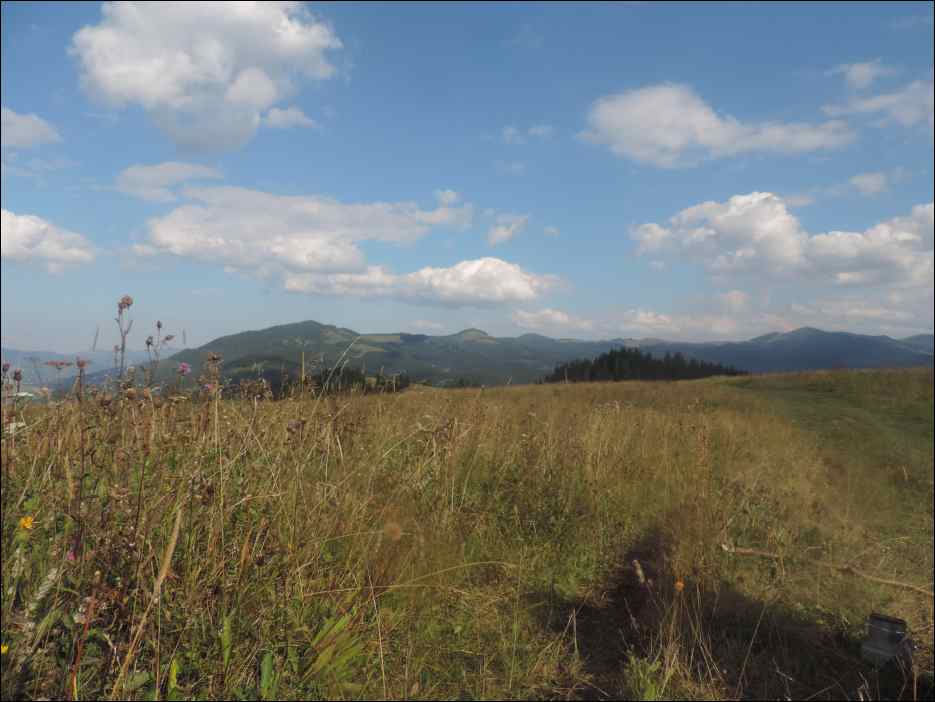 DSCN3856