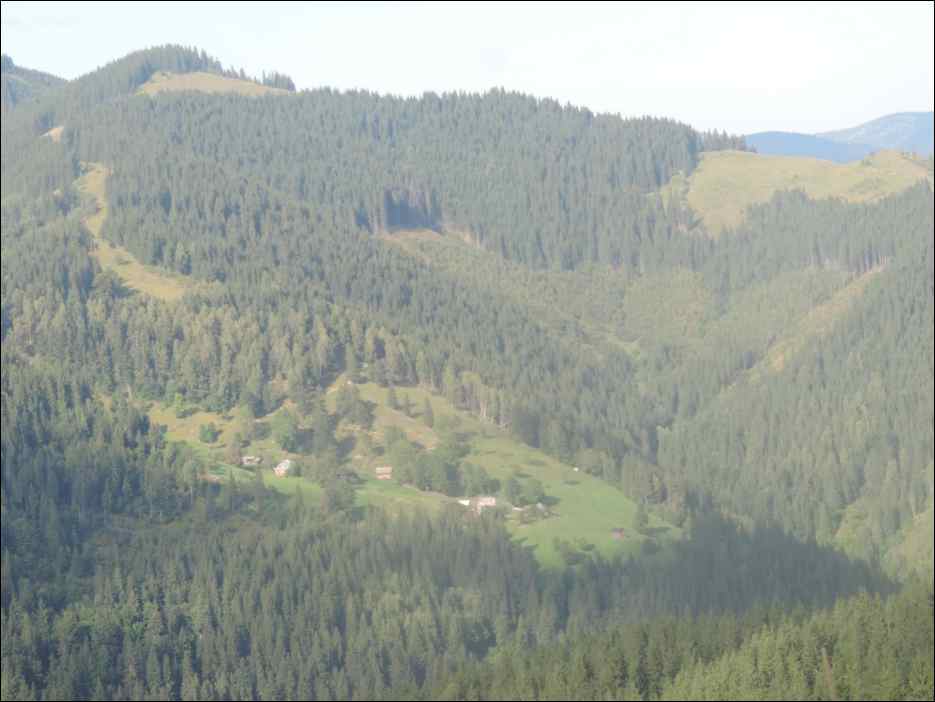 DSCN3860