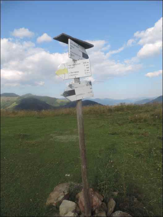 DSCN3867