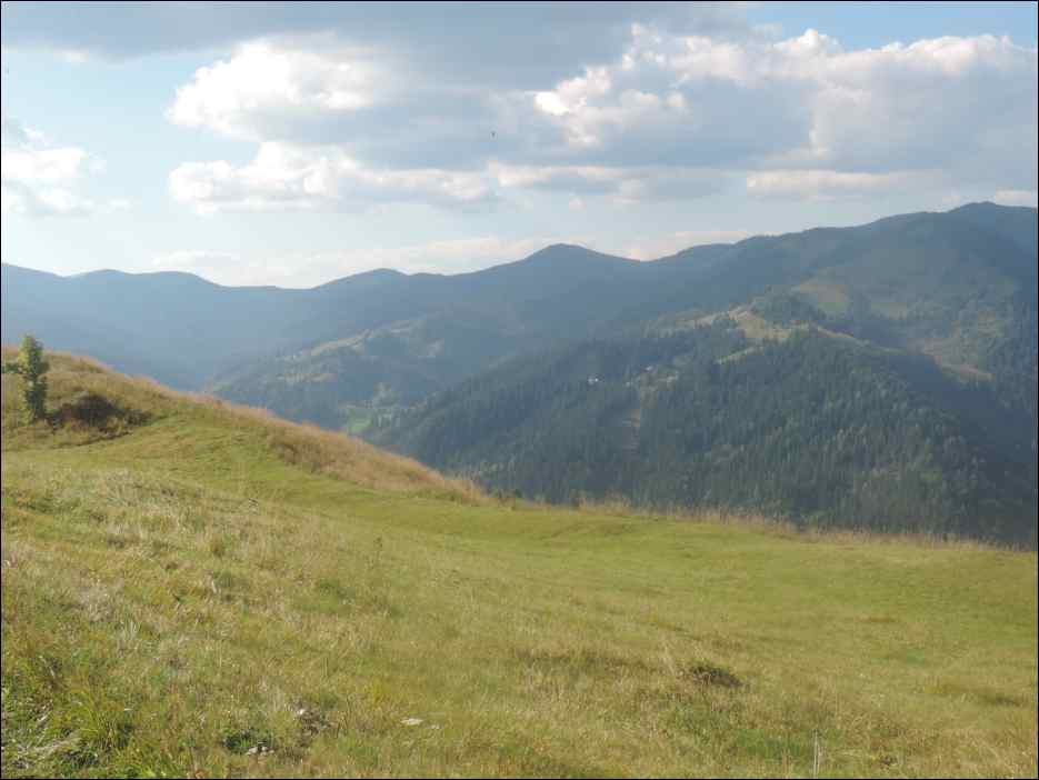 DSCN3874