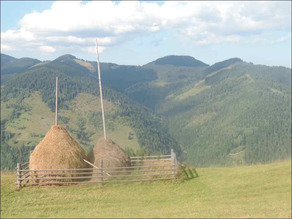 DSCN3876