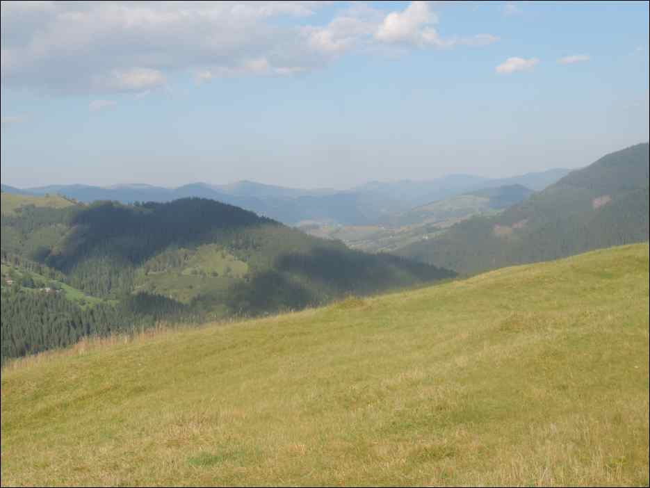 DSCN3877