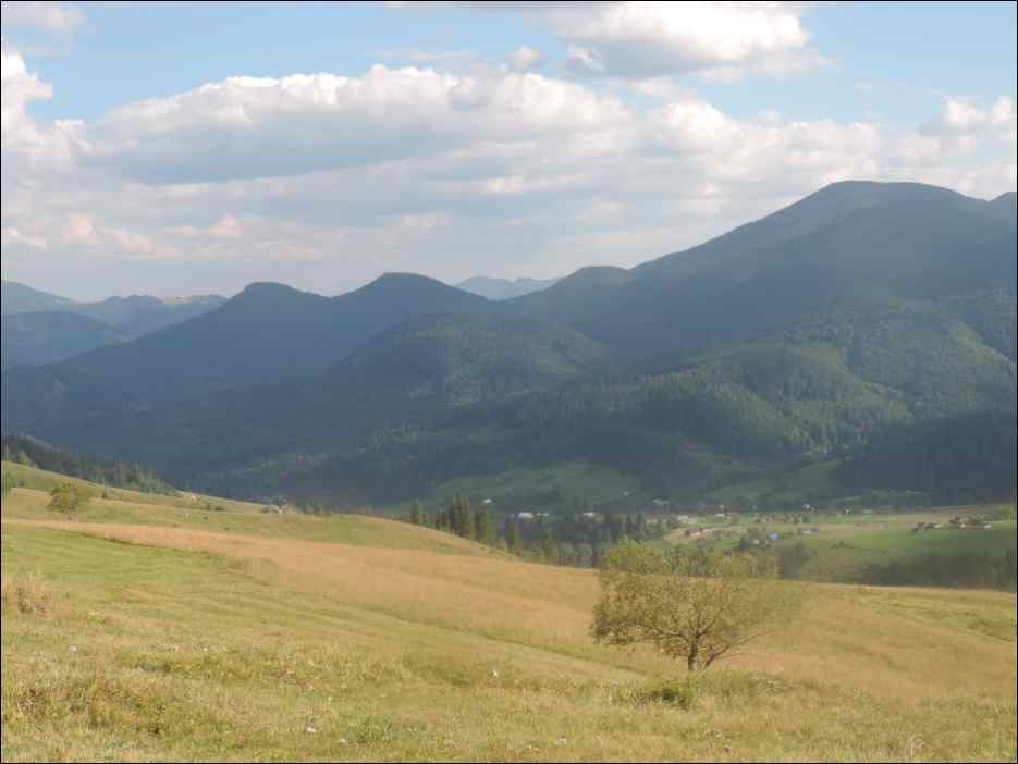 DSCN3878