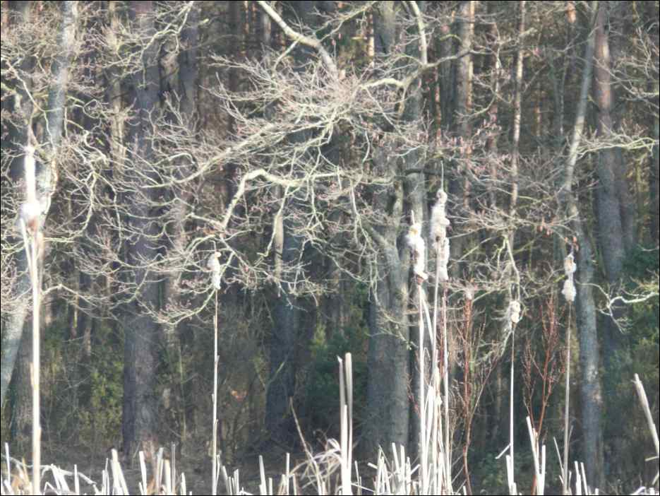 P1090136