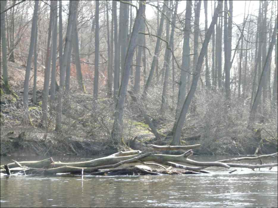 P1090172