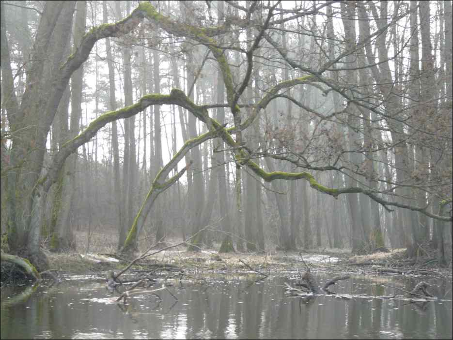 P1090184