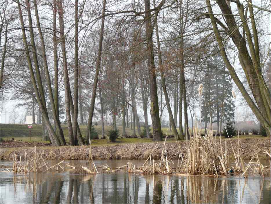 P1090193