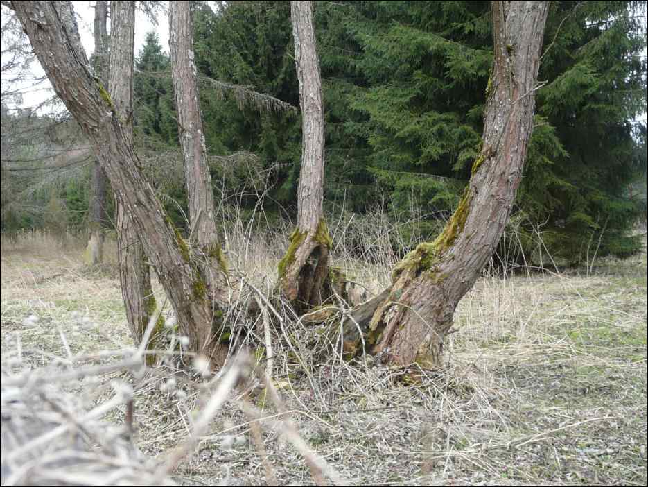 P1060087