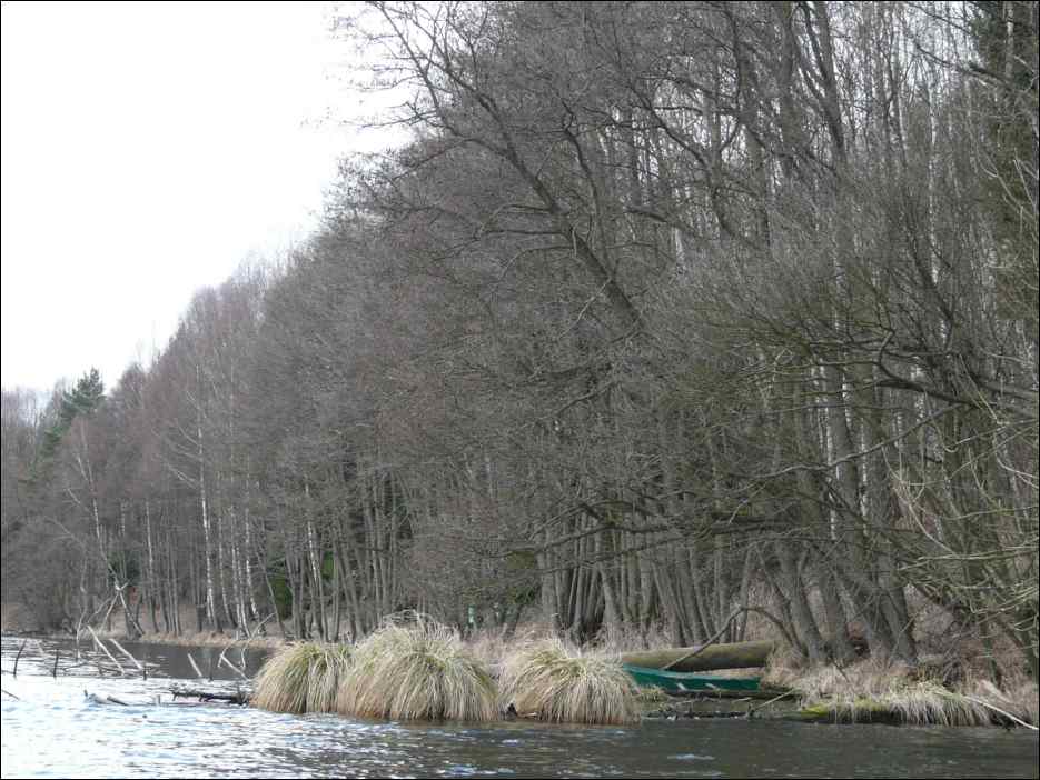 P1060109