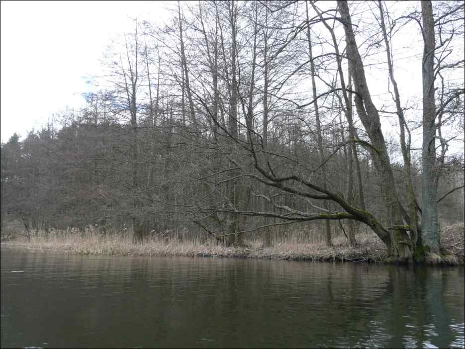 P1060155