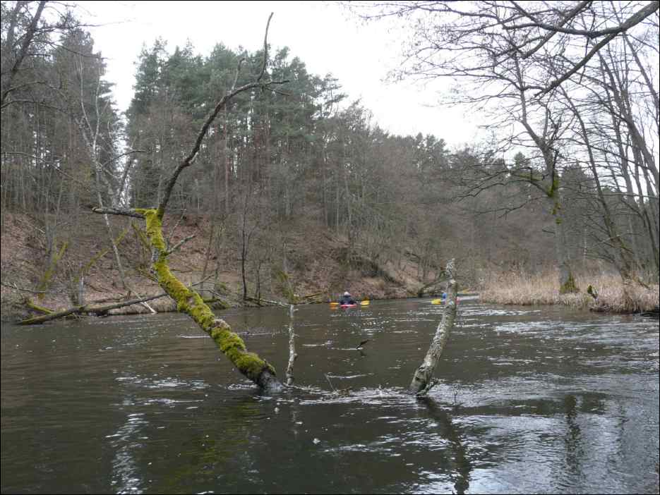 P1060161
