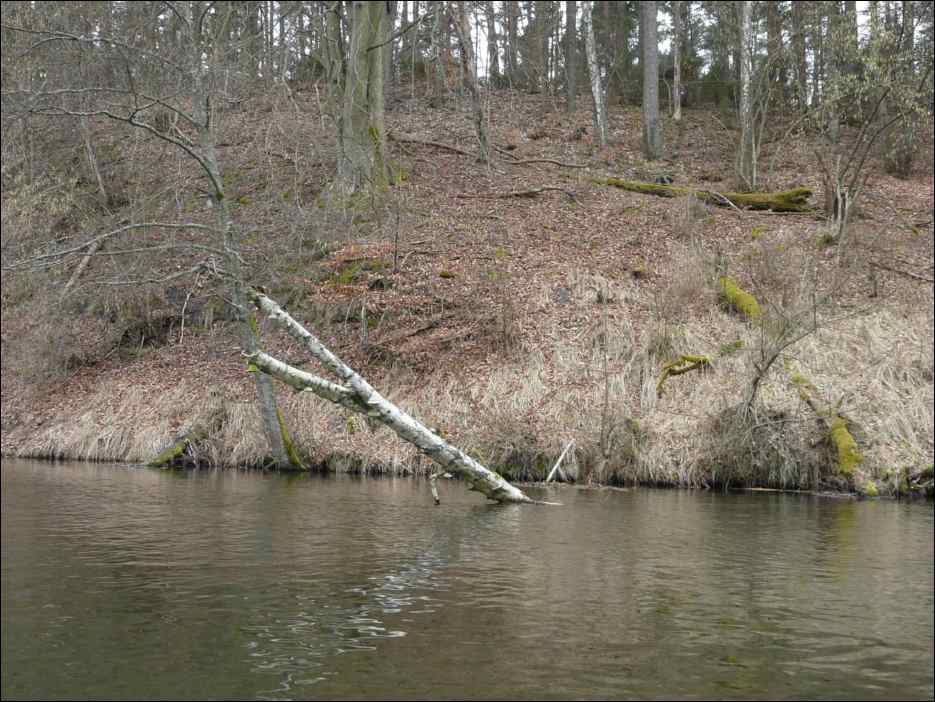 P1060162