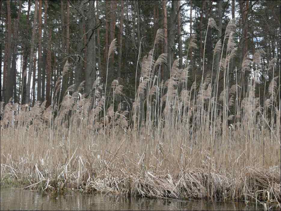 P1060164