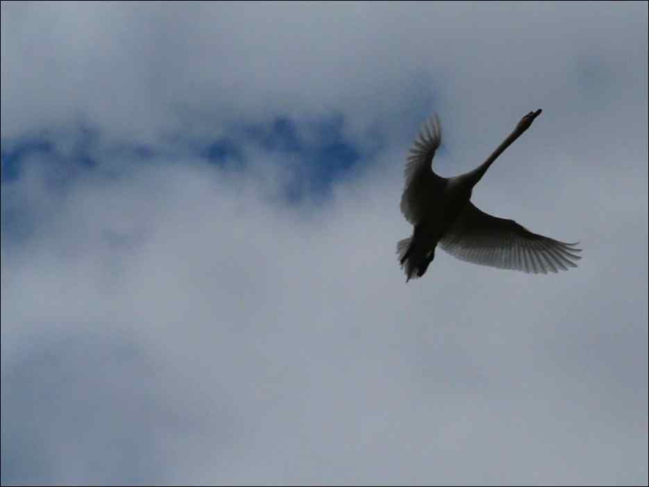P1060175