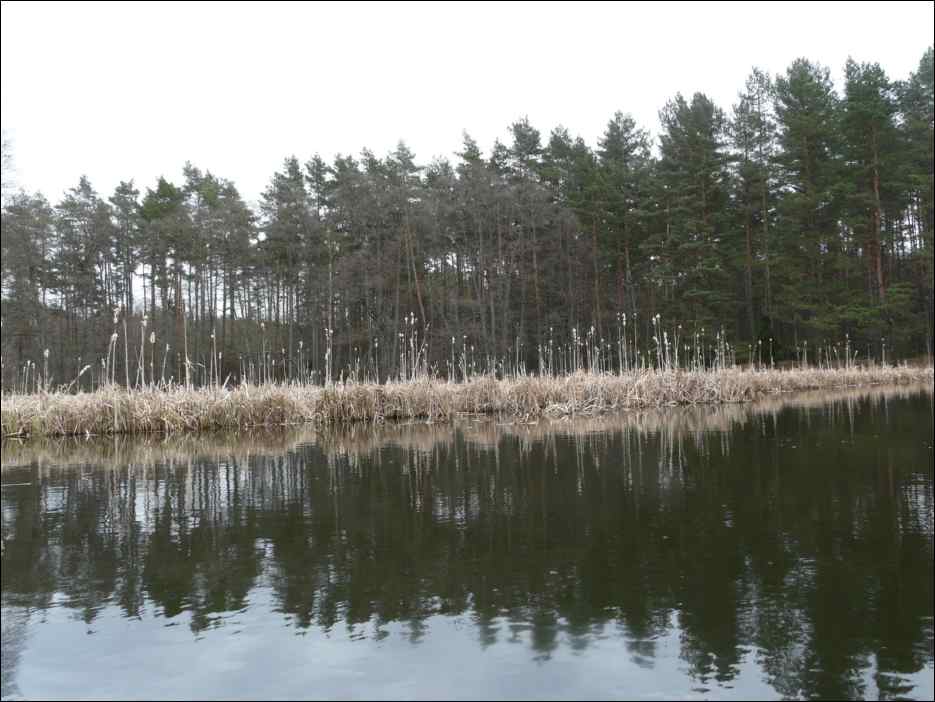 P1060182
