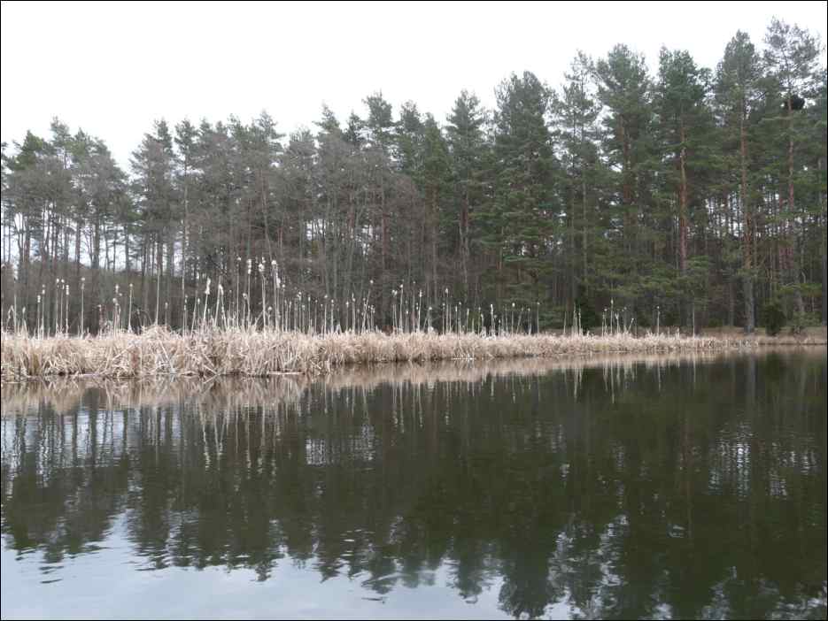 P1060183