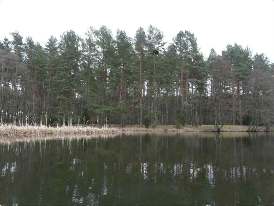 P1060184