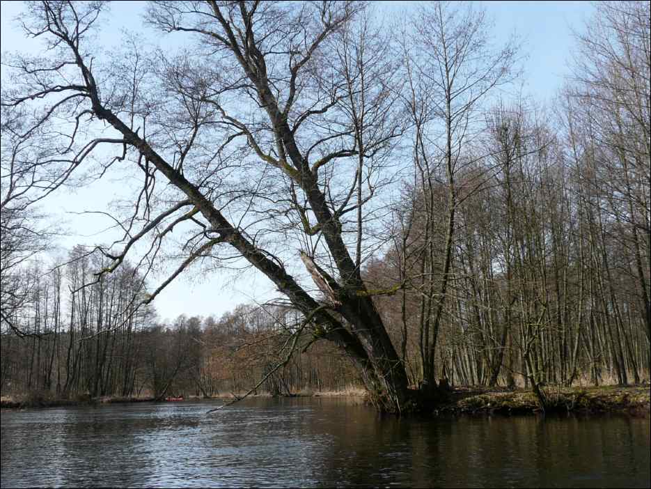 P1060269