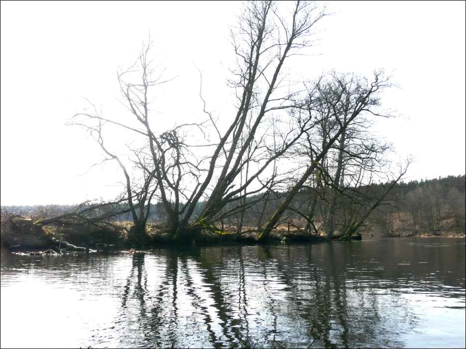 P1060272