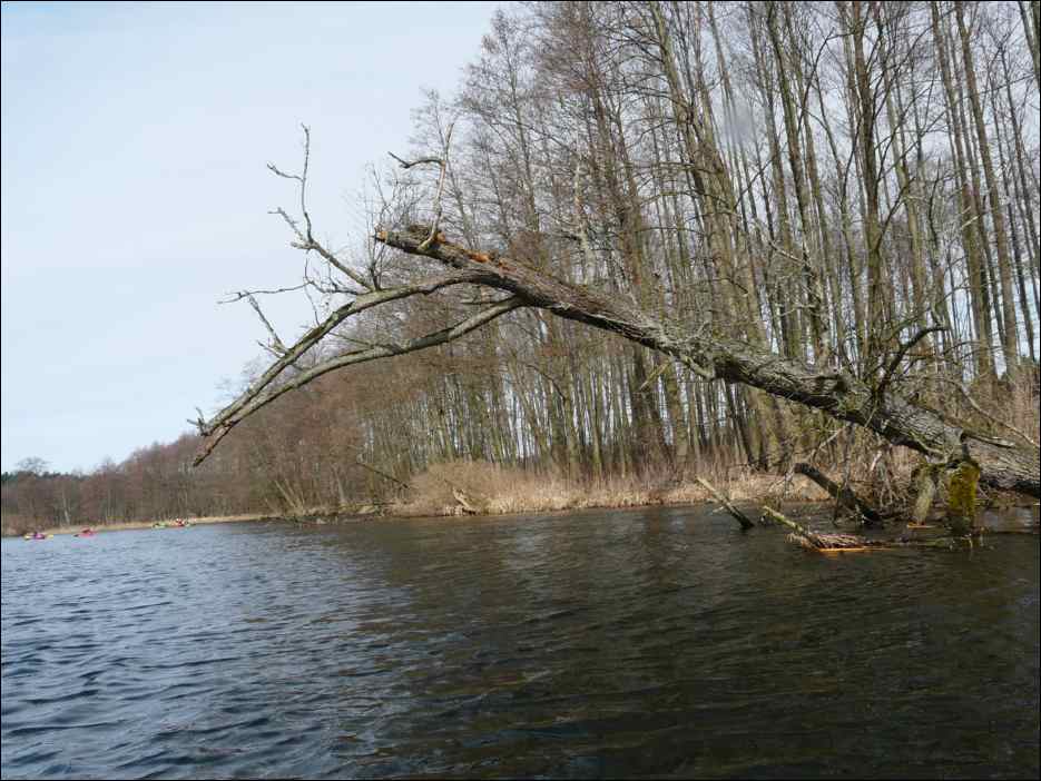 P1060276