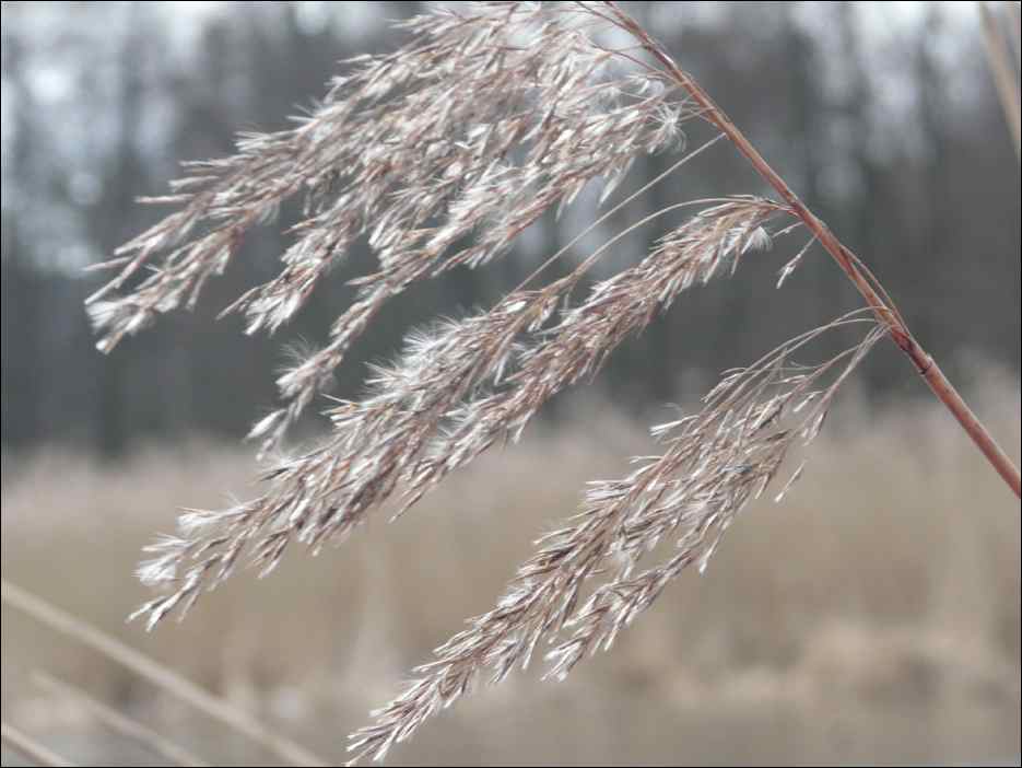 P1060290