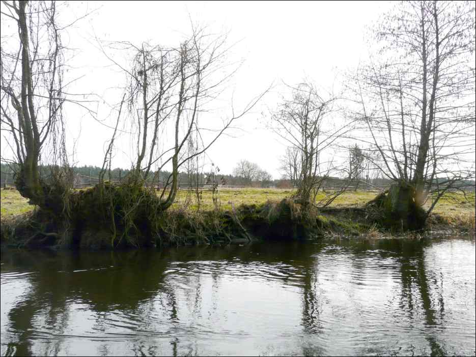 P1060318