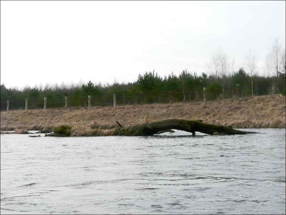 P1060322