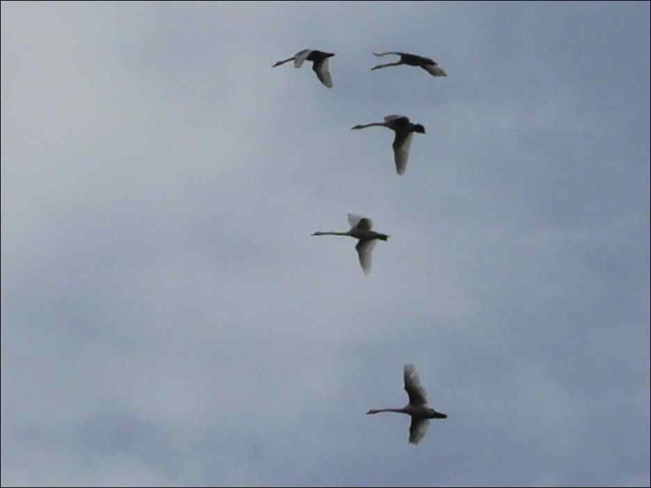P1060383