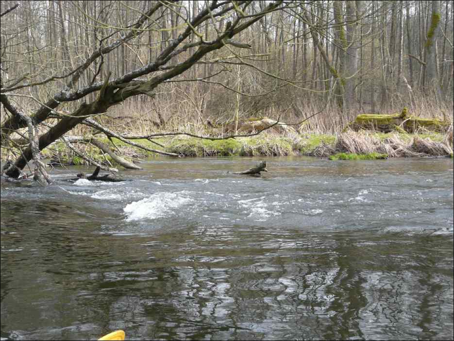 P1060463