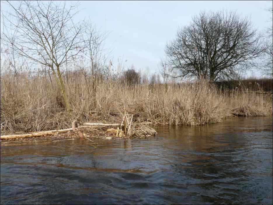 P1060488