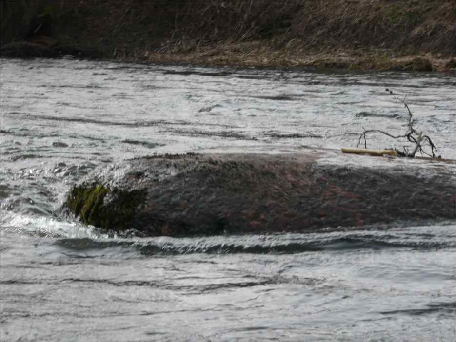 P1060493