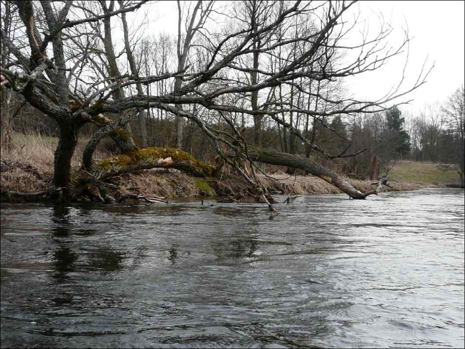 P1060495