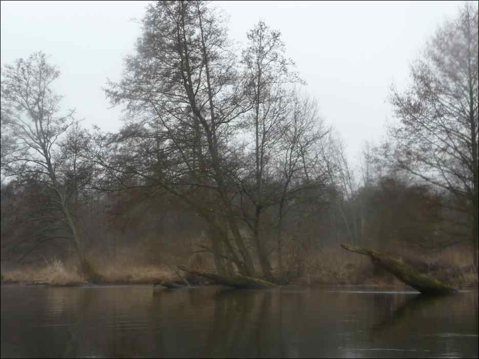 P1060629