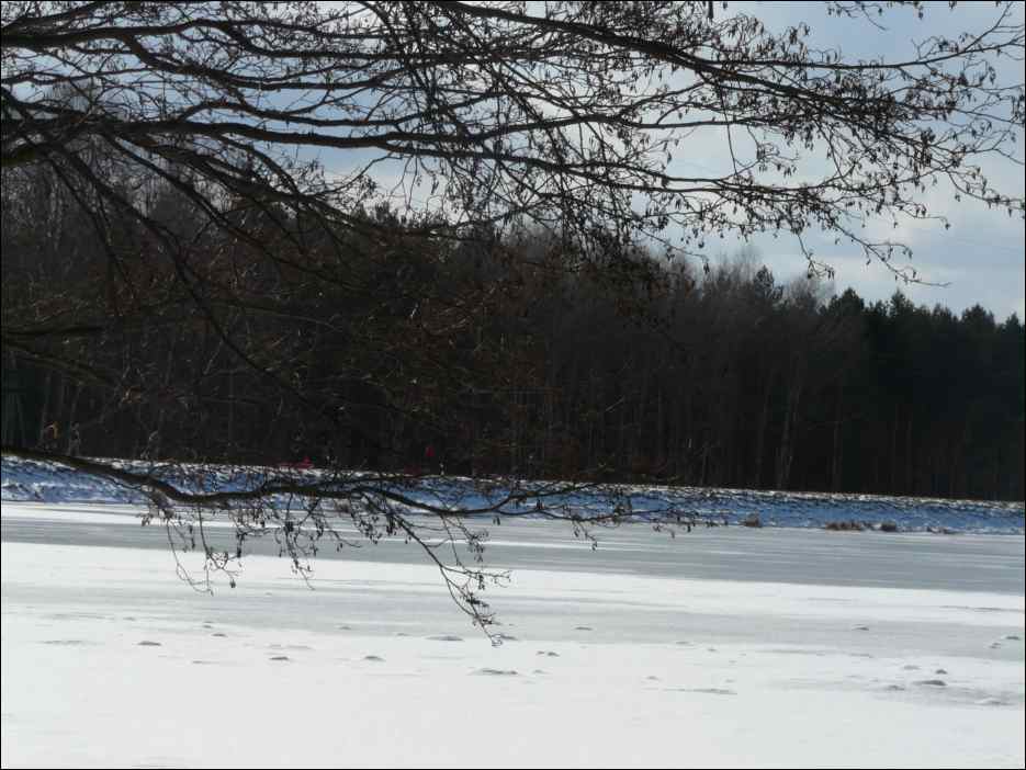 P1110111