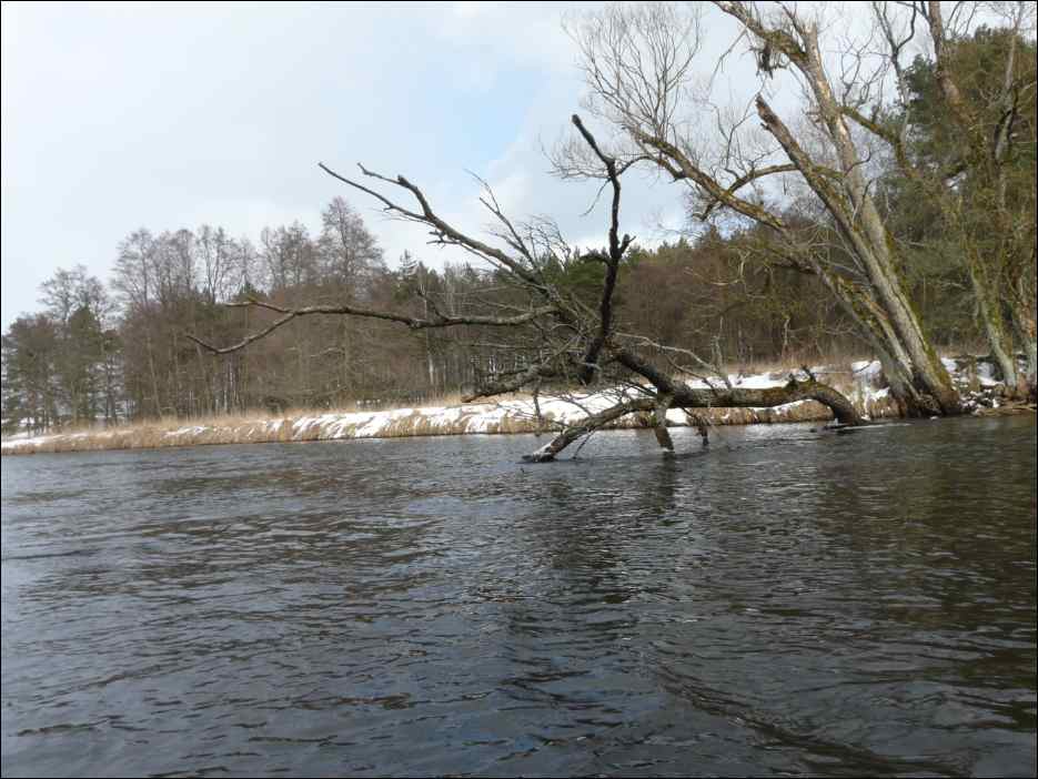 P1110123