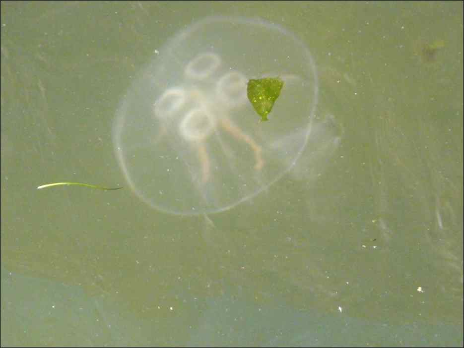 P1050020
