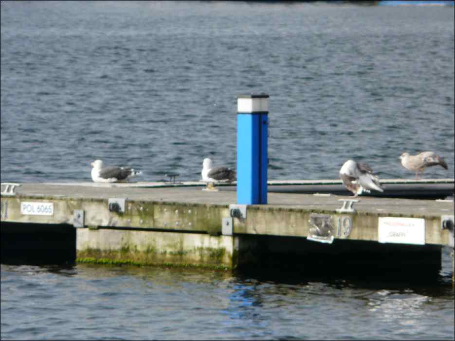 P1050074