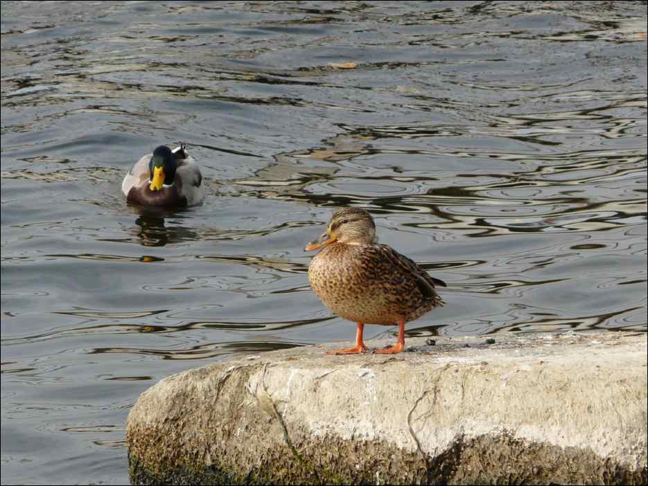 P1050076