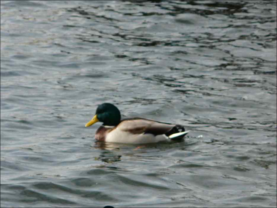 P1050078