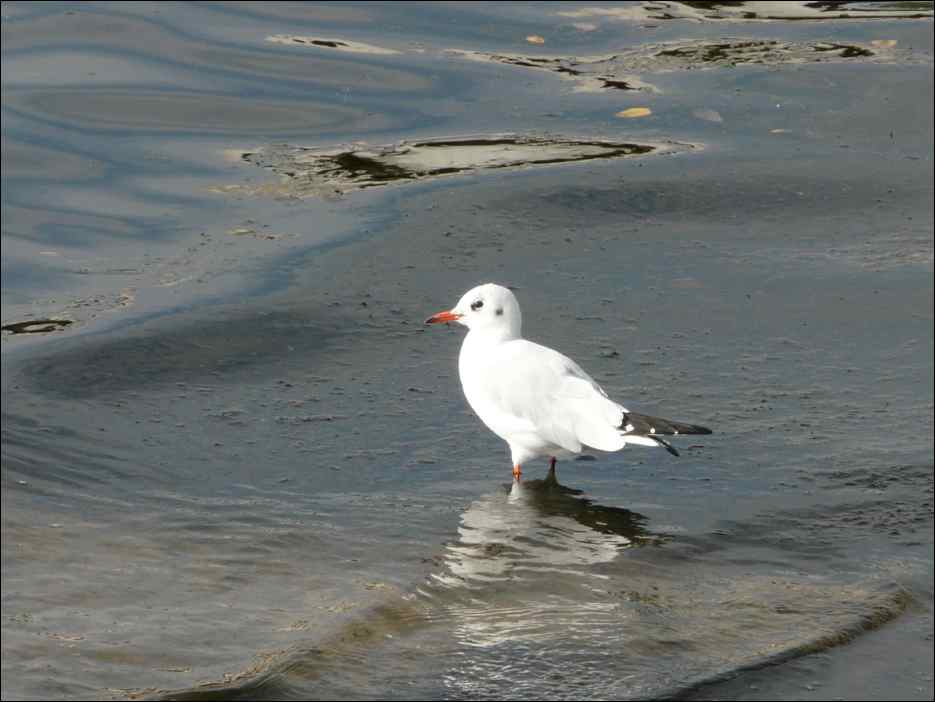 P1050081