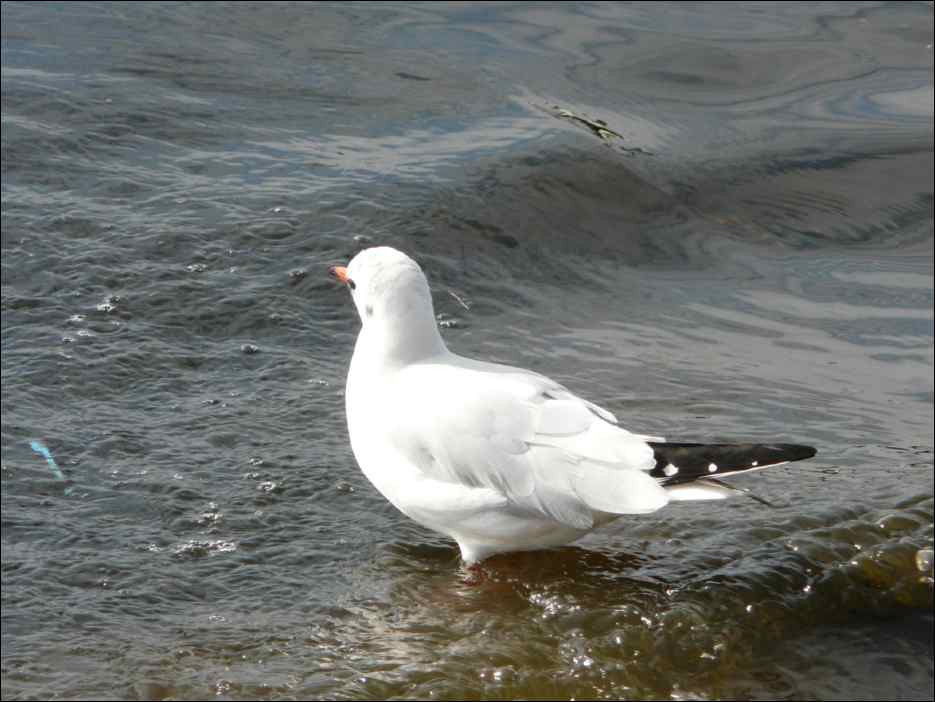 P1050082